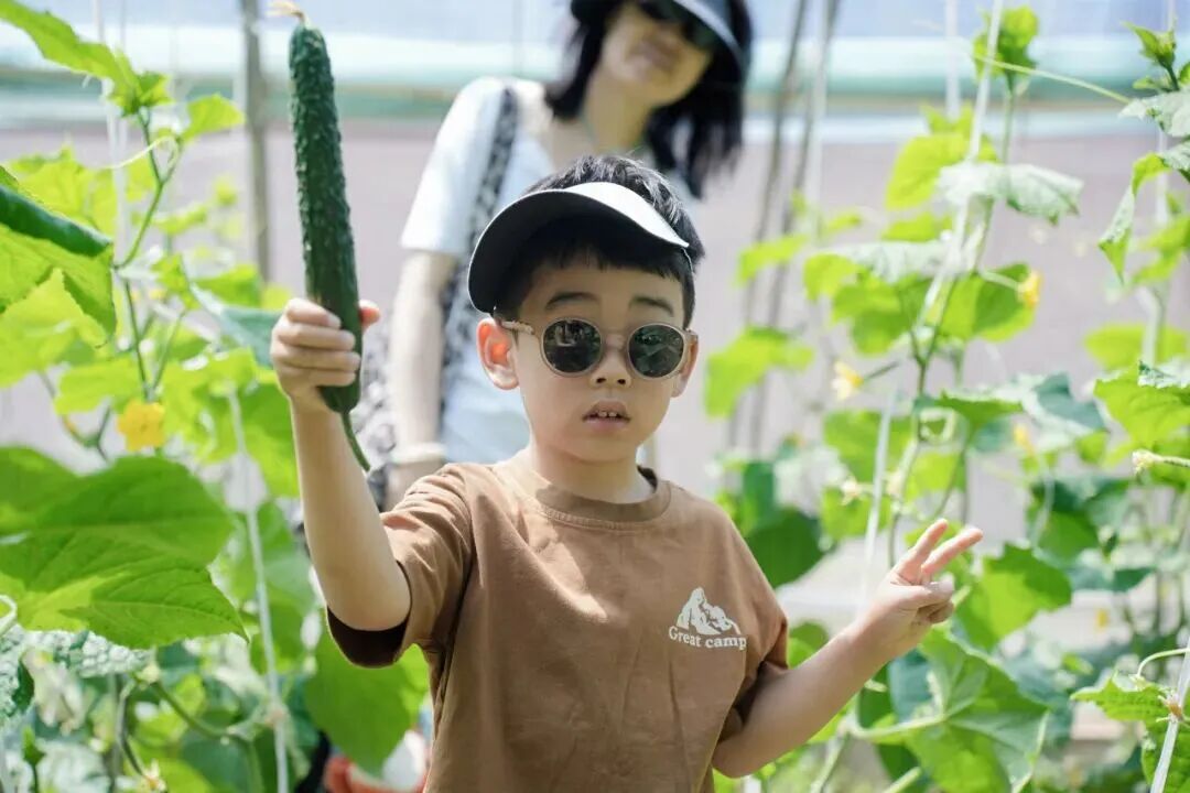 伟德中国官网入口